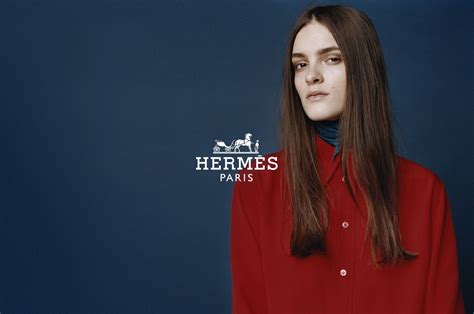 hermes schuur spons|Hermes website.